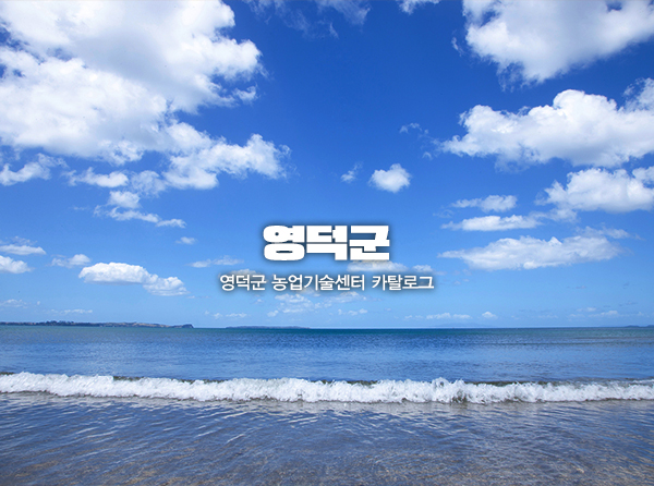 영덕군
